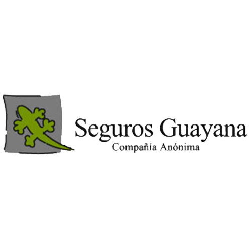 seguros guayana